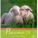 Psaume 23 - pour chaque jour